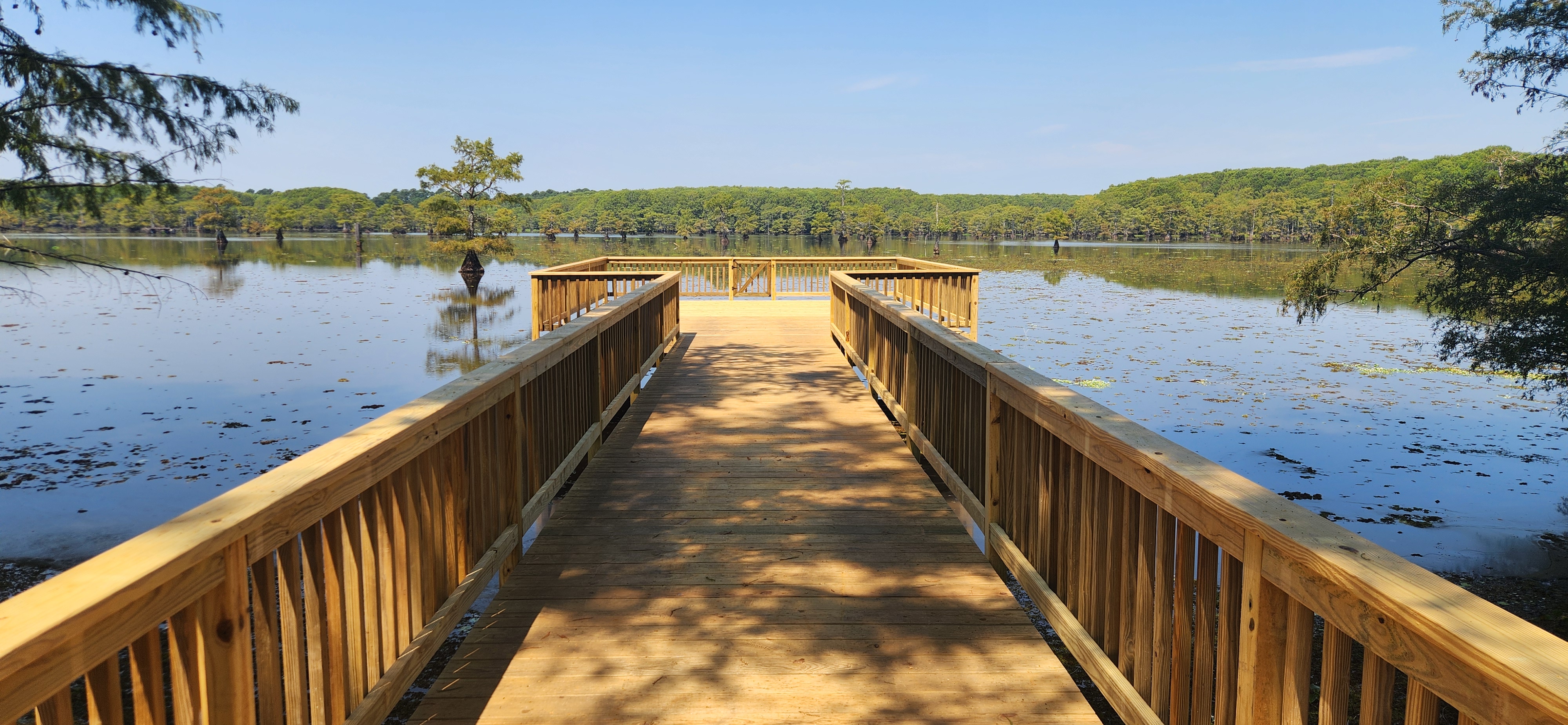 Custom wooden dock project